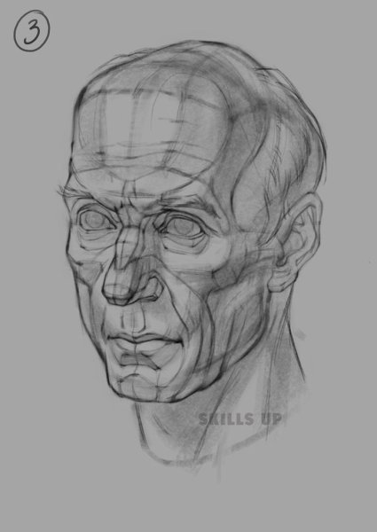 Линейно конструктивный портрет