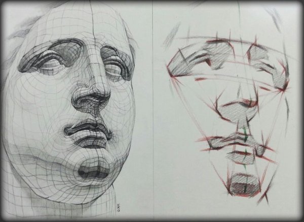 Конструктивное построение лица