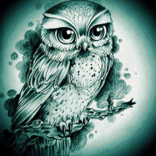 Красивые рисунки Совы