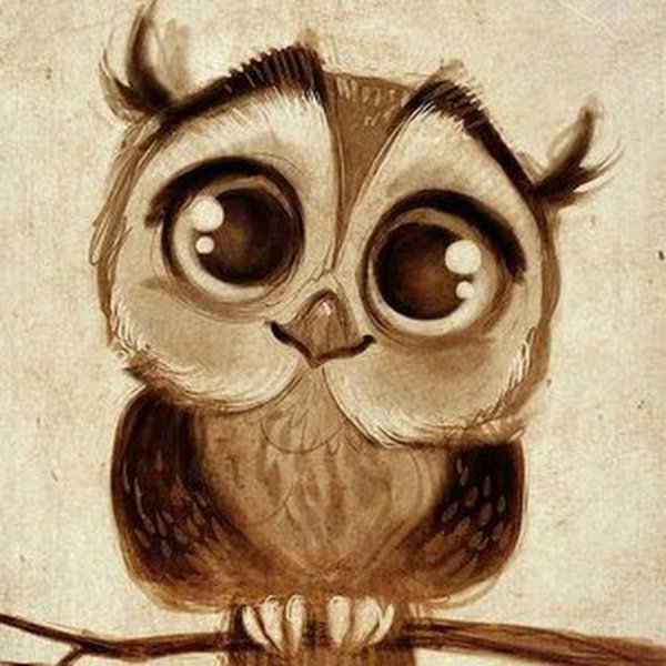 Картинки Совы для срисовки