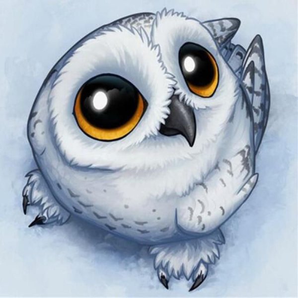 Совёнок Стив