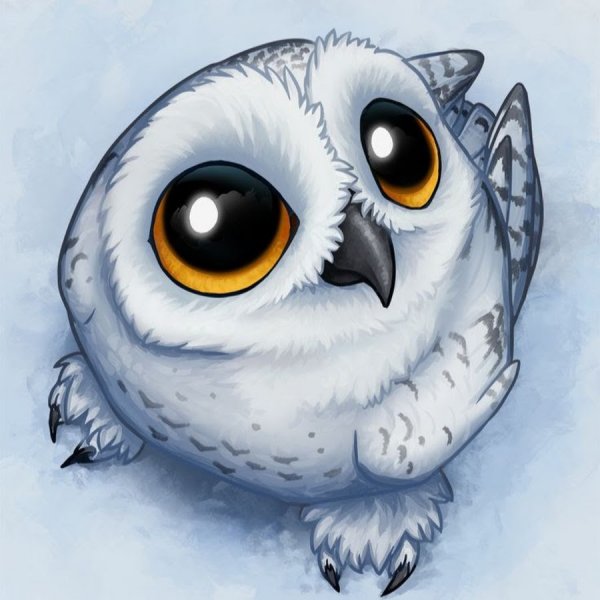 Совёнок Стив