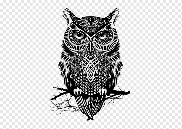 Сова эскиз чб