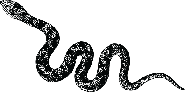 Векторные змеи