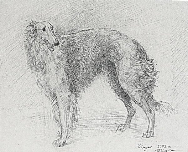 Русская псовая борзая гравюрах