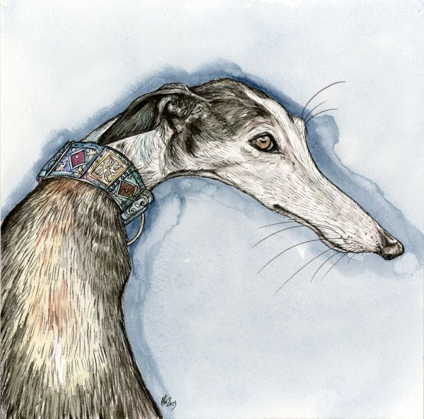 Борзая Грейхаунд хаунд арт