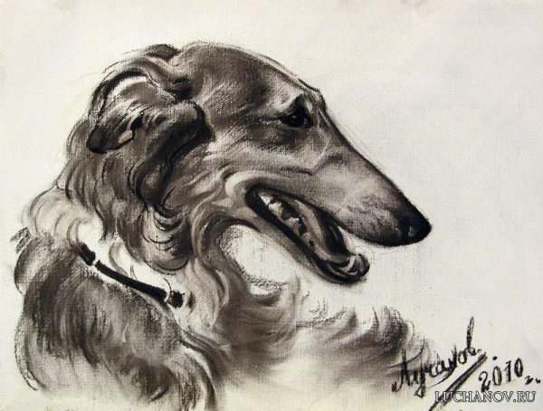 Борзая художник Лучанов