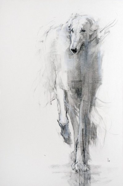 Борзая карандашом