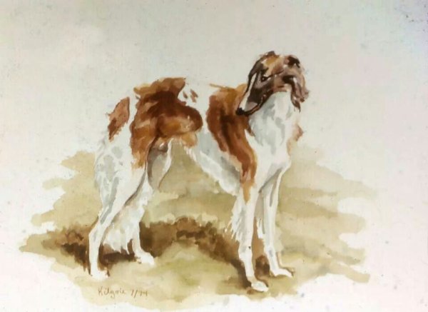 Русская псовая борзая охота иллюстрации