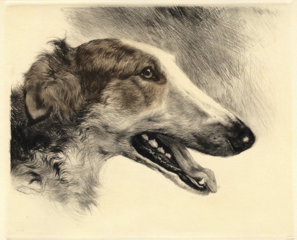 Курт Мейер-Эберхардт