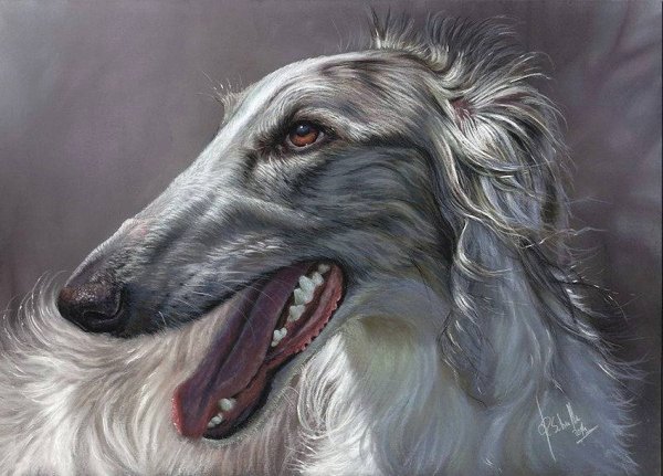 Художник Christina Schulte