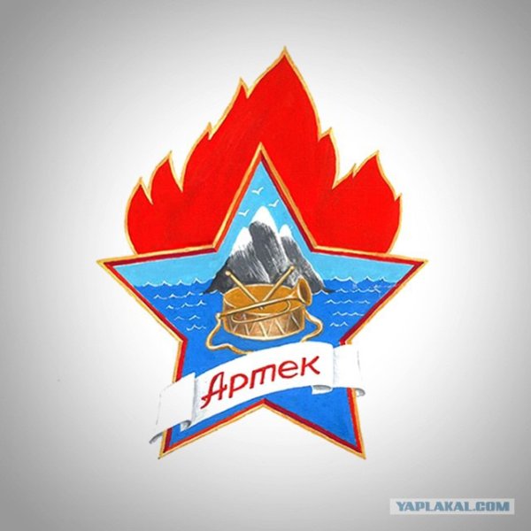 Эмблема лагеря Лесной Артек