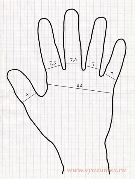 Ладонь контур