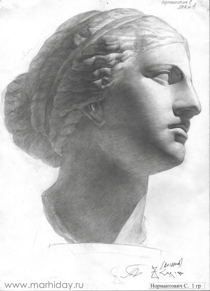 Сократ Академический рисунок