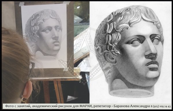 Сократ гипсовая голова анфас