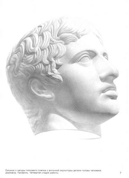 Гипсовая голова Гаттамелата Академический