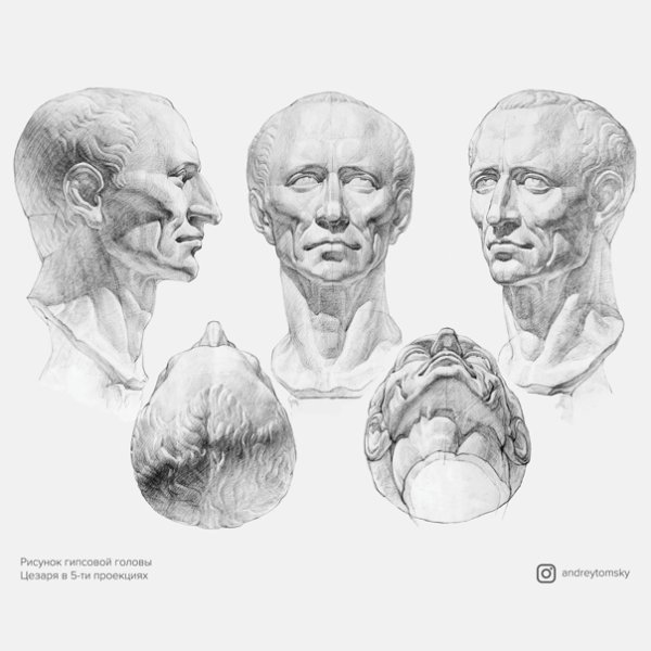 Гипсовая голова Академический рисунок Академии художеств