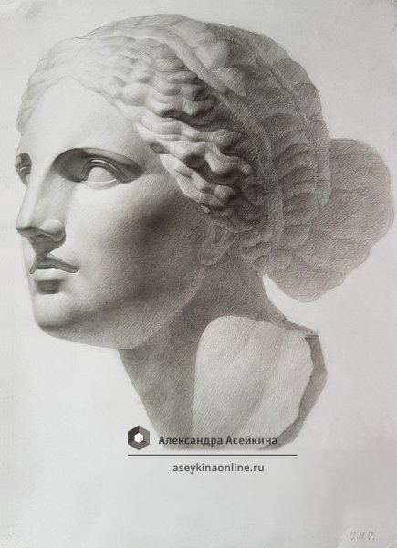 Гипсовая голова Афродита Книдос