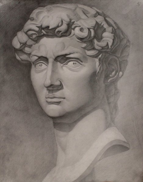 Антиной гипсовая голова пропорции