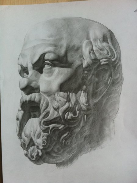 Антиной Академический рисунок