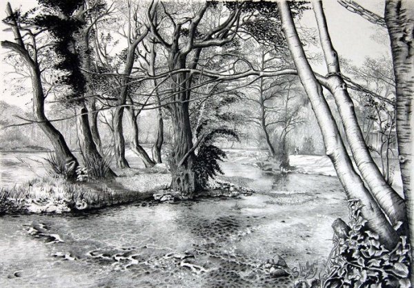 Графический рисунок углем