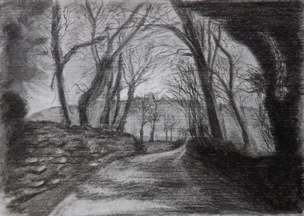 Графический пейзаж углем