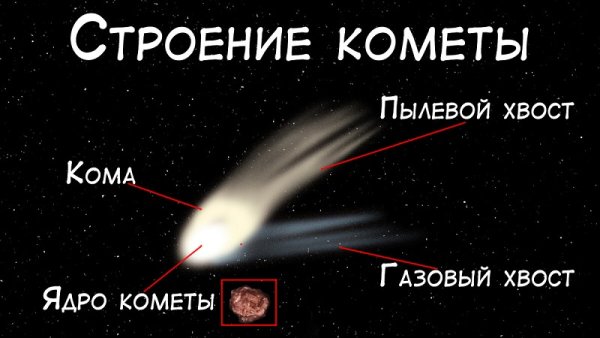 Строение кометы