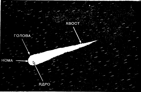 Строение кометы голова ядро хвост