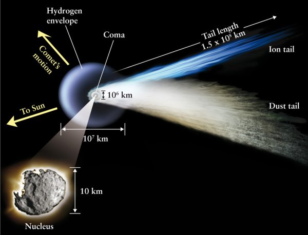 Состав кометы