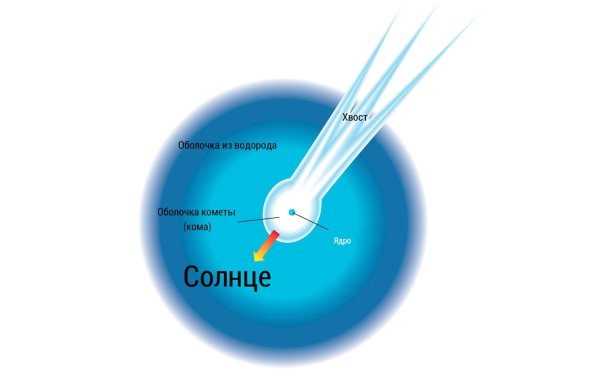 Строение кометы