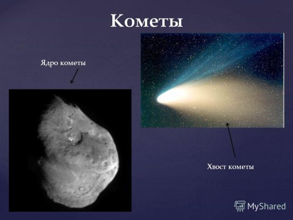 Строение ядра кометы