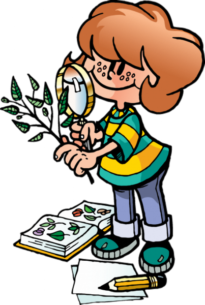 Маленькие исследователи