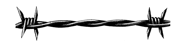 Тюремная проволока эскиз