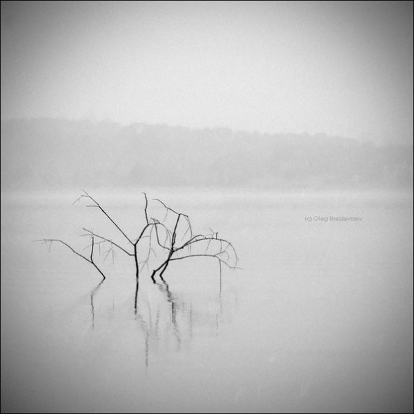 Тишина рисунок