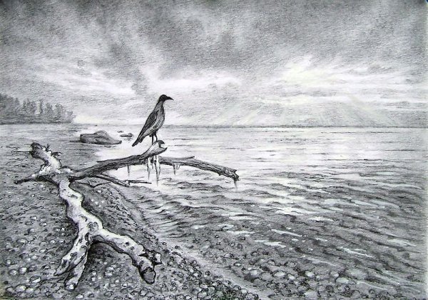 Кулагин Олег Графика