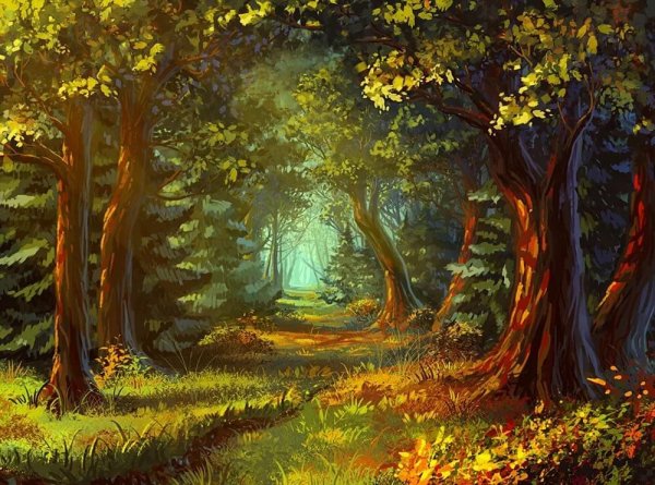 Сказочные пейзажи леса