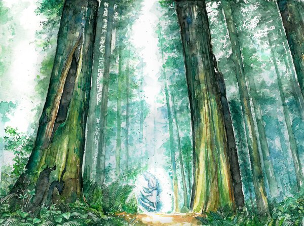 Сказочный лес акварель