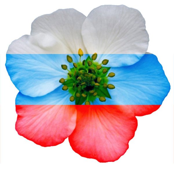 Российский флаг анимация