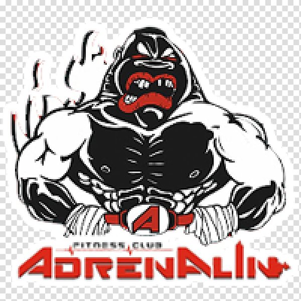Адреналин фитнес logo
