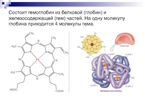 Строение гемоглобина формула
