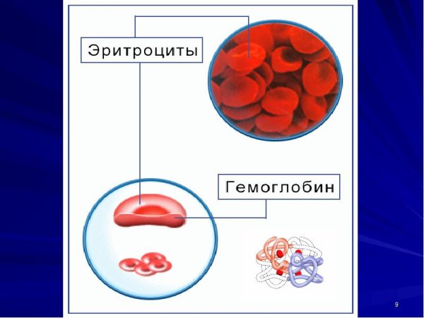 Эритроциты у детей