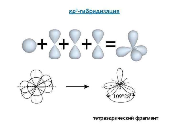 Sp³-гибридных орбиталей углерода