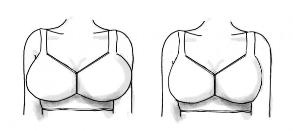 Скетчи груди