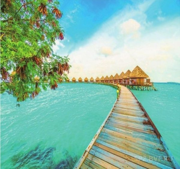 Мальдивы живопись