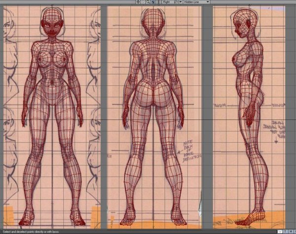 Анатомия тела девушки (пропорции тела)