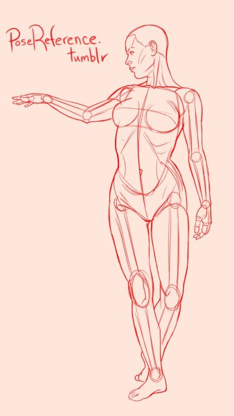 Анатомия человека для рисования