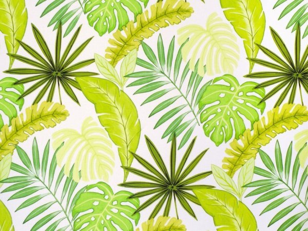 Тропический фон