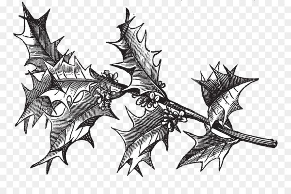 Шипы нарисованные