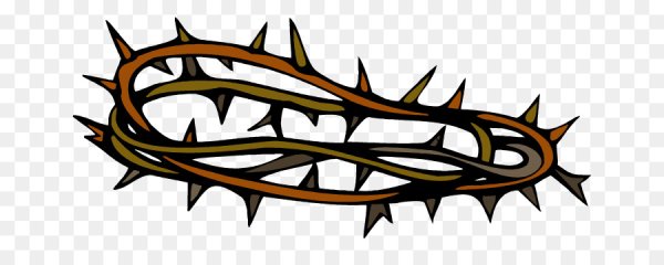 Шипы на белом фоне