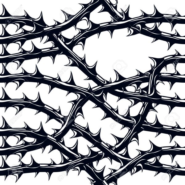 Лоза с шипами